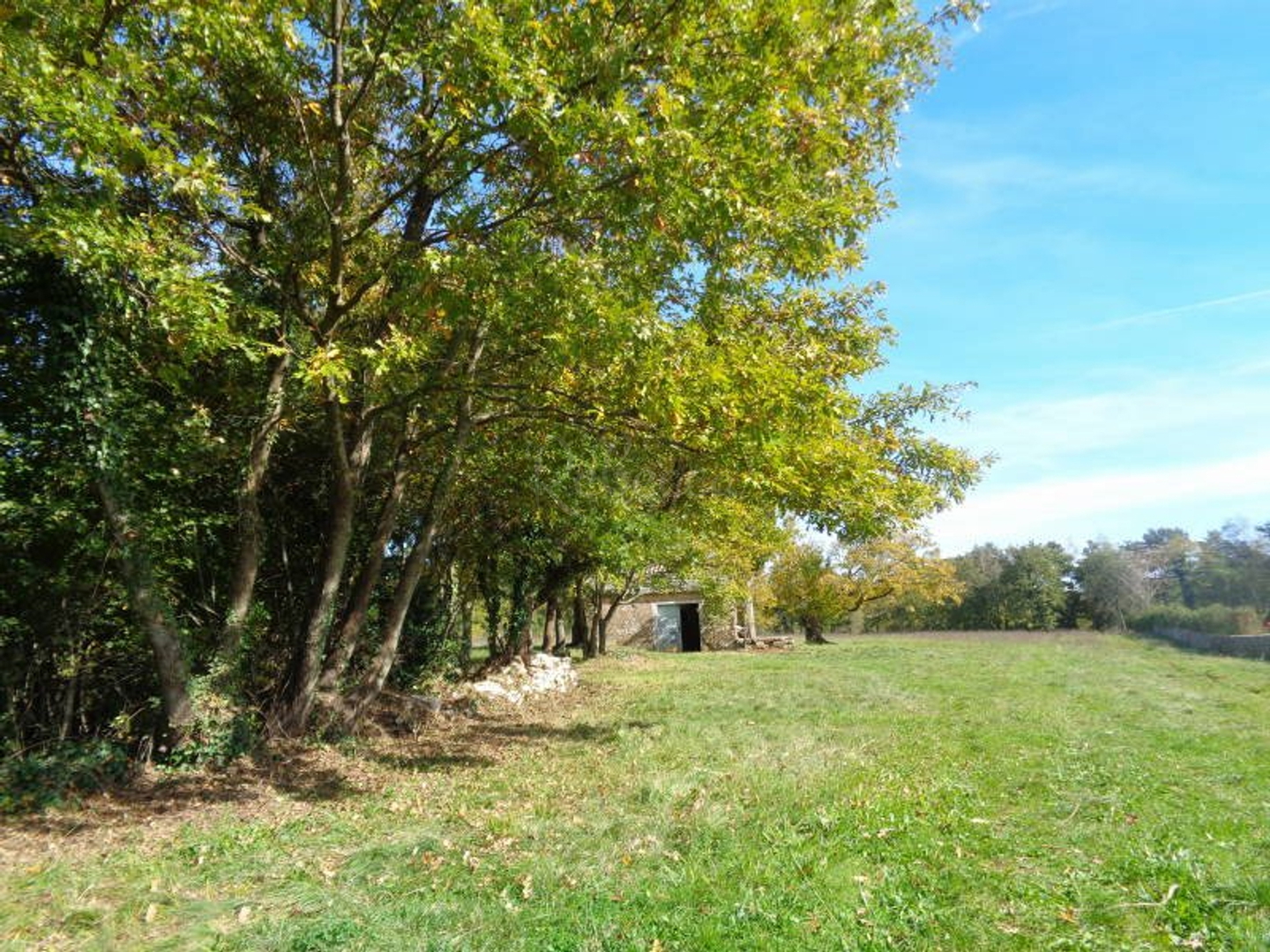 Land For sale - Istarska Žminj