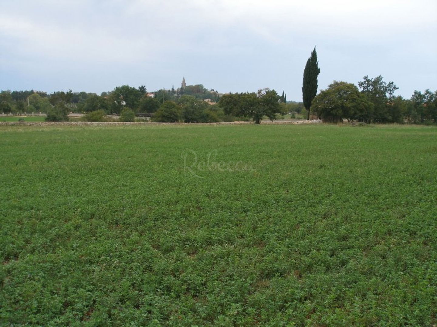 Land For sale - Istarska Žminj