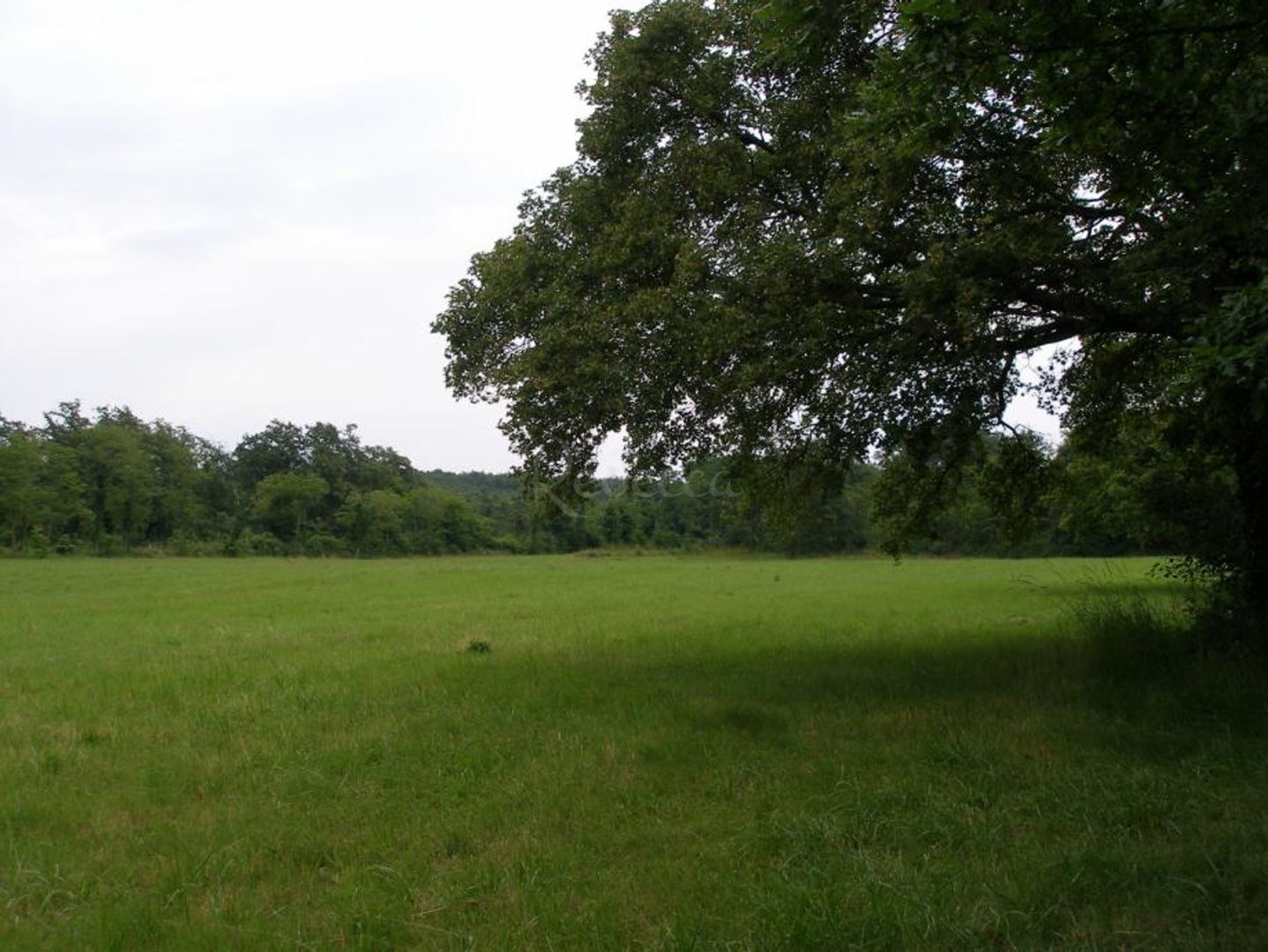 Land For sale - Istarska Žminj
