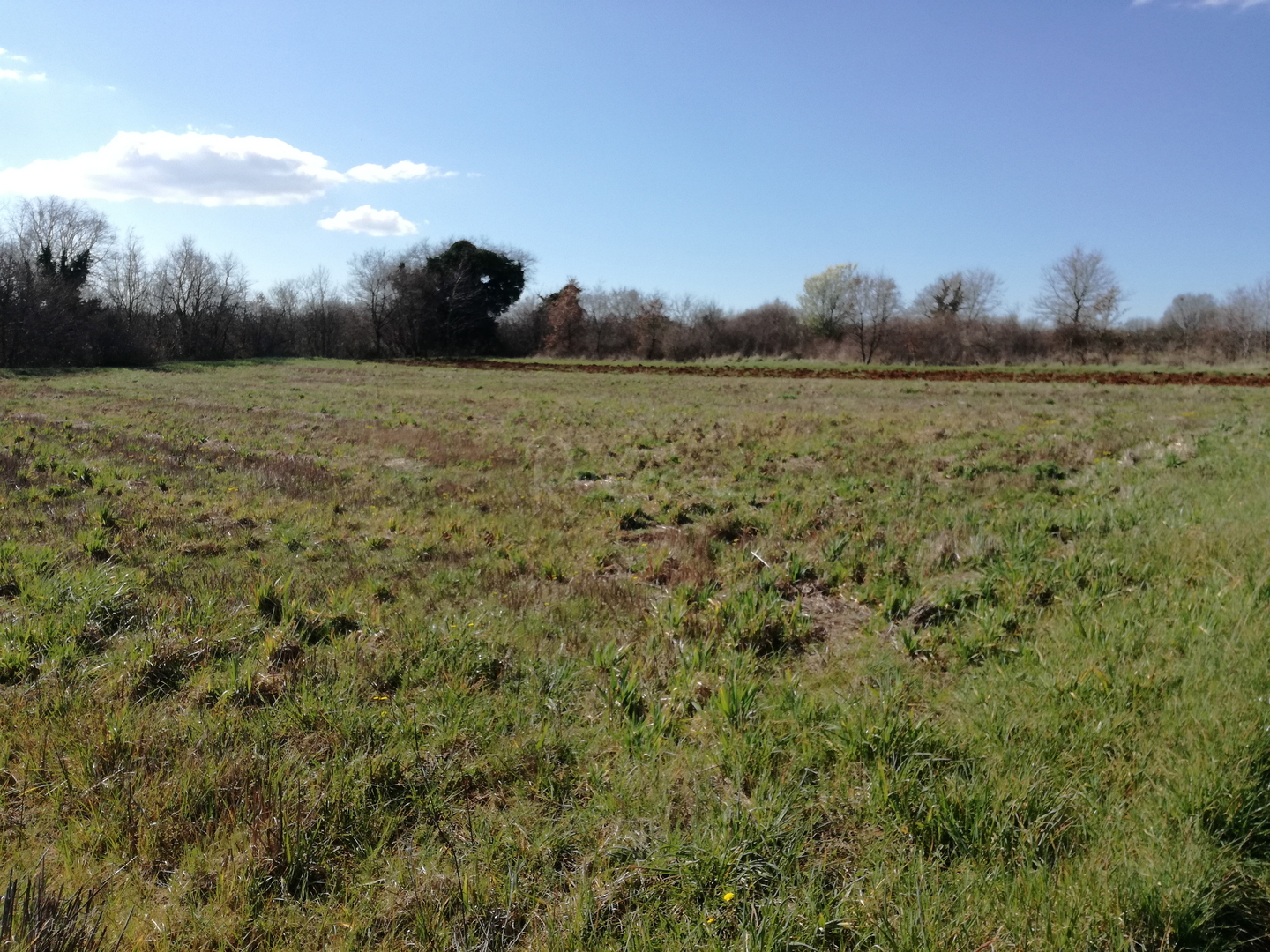 Land For sale Marčana