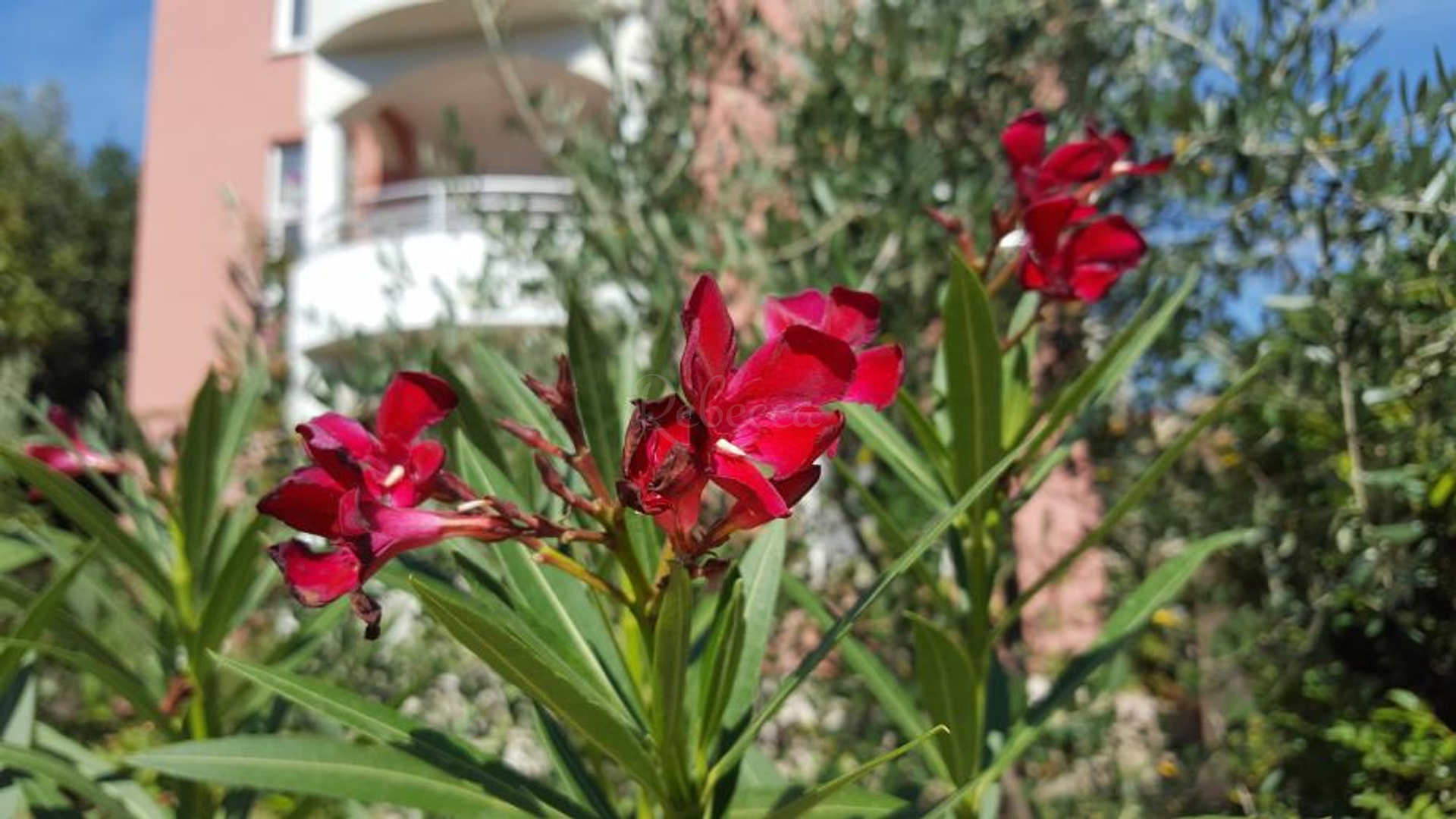 House For sale -  Premantura