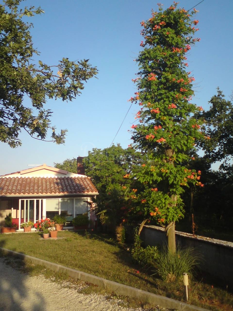 Casa In vendita - Istarska Marčana - foto 3/3