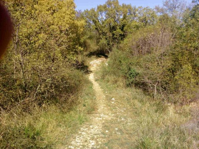 Pozemek Na prodej - Istarska Manjadvorci - foto 4/4