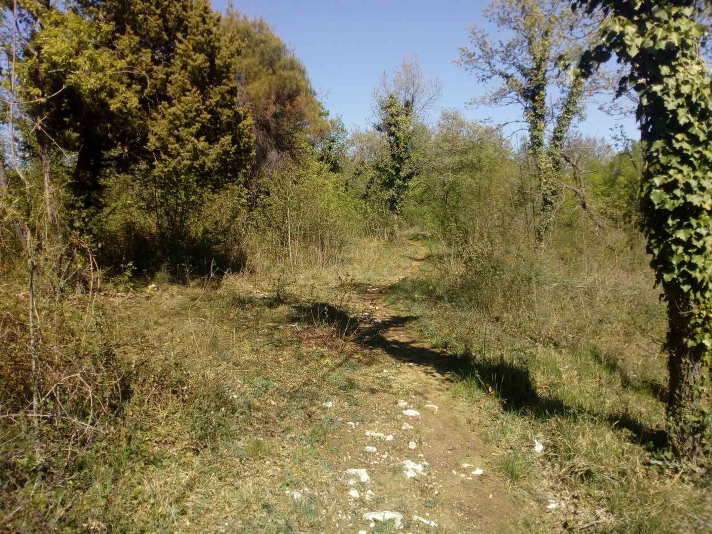 Pozemok Na predaj -  Manjadvorci