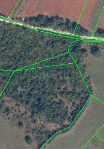 Zemljište na prodaju 10500 m² – Ližnjan