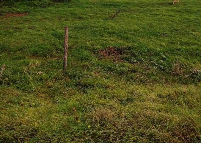 Land for sale 9004 m² – Filipana