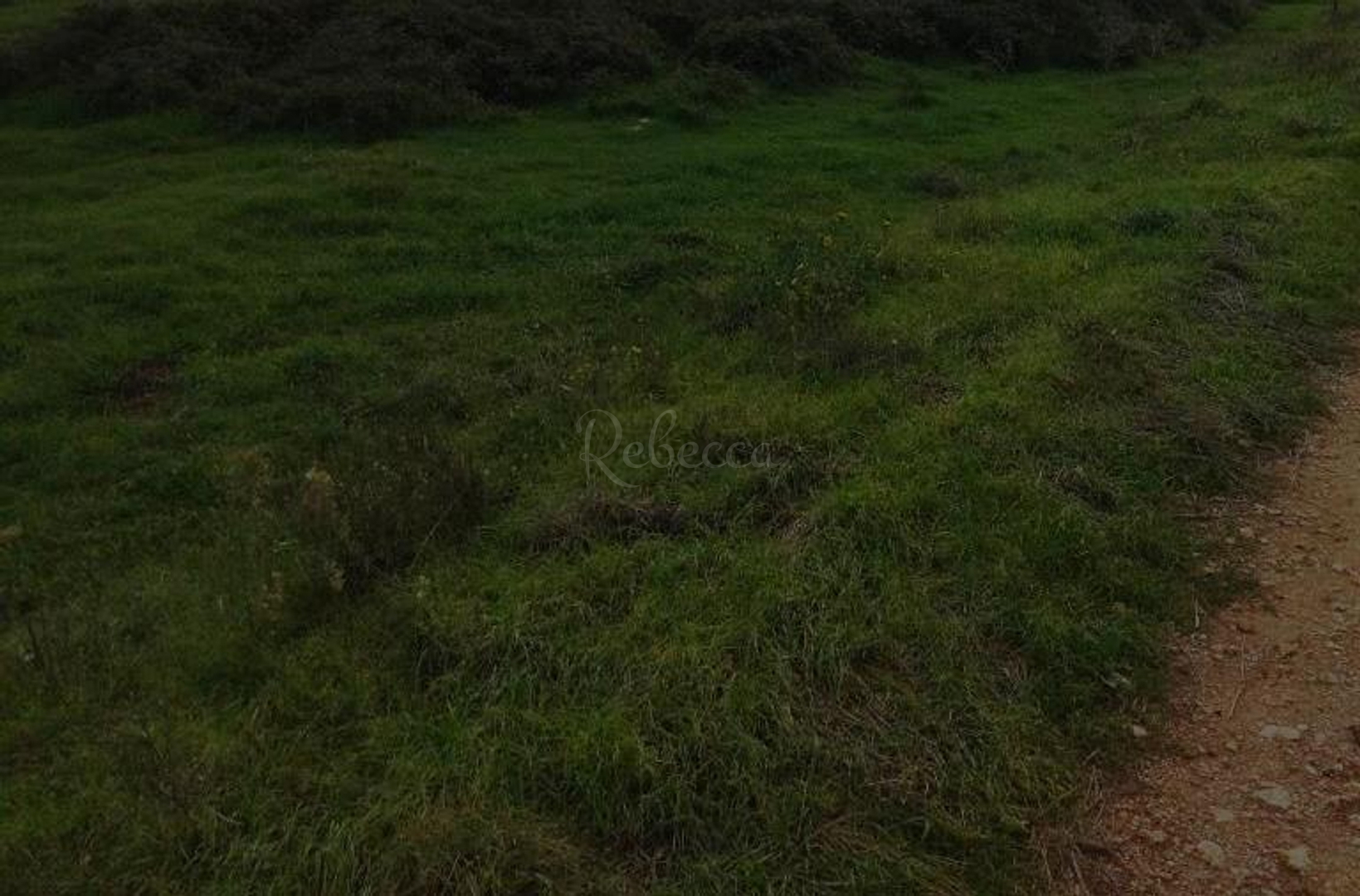 Terrain À vendre - Istarska Vodnjan - foto 1/1