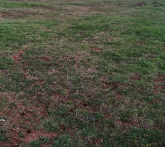 Zemljište na prodaju 2100 m² – Vodnjan