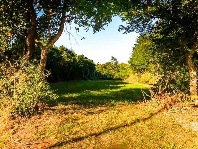 Land for sale 1785 m² – Barban
