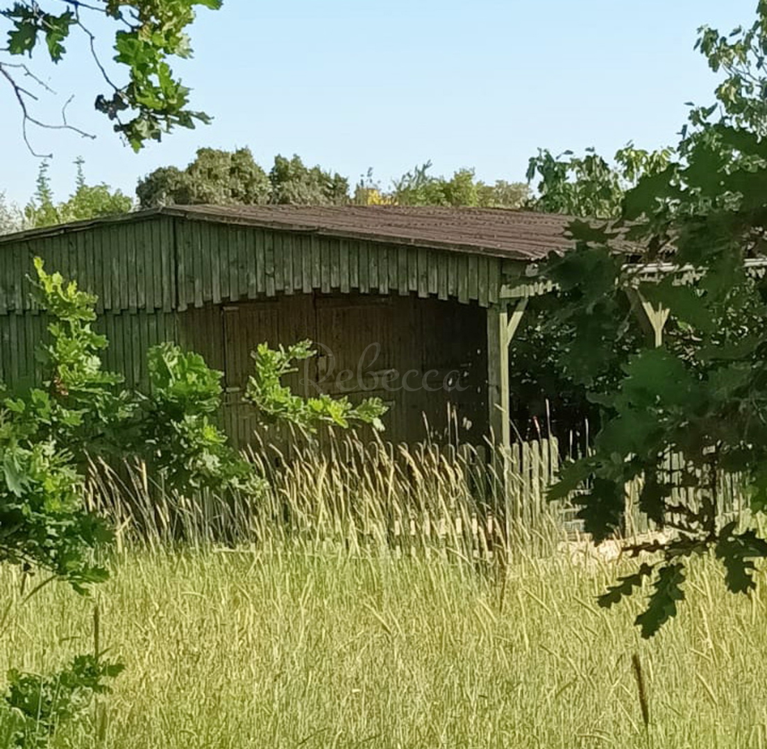 Casa In vendita - Peroj - foto 1/3
