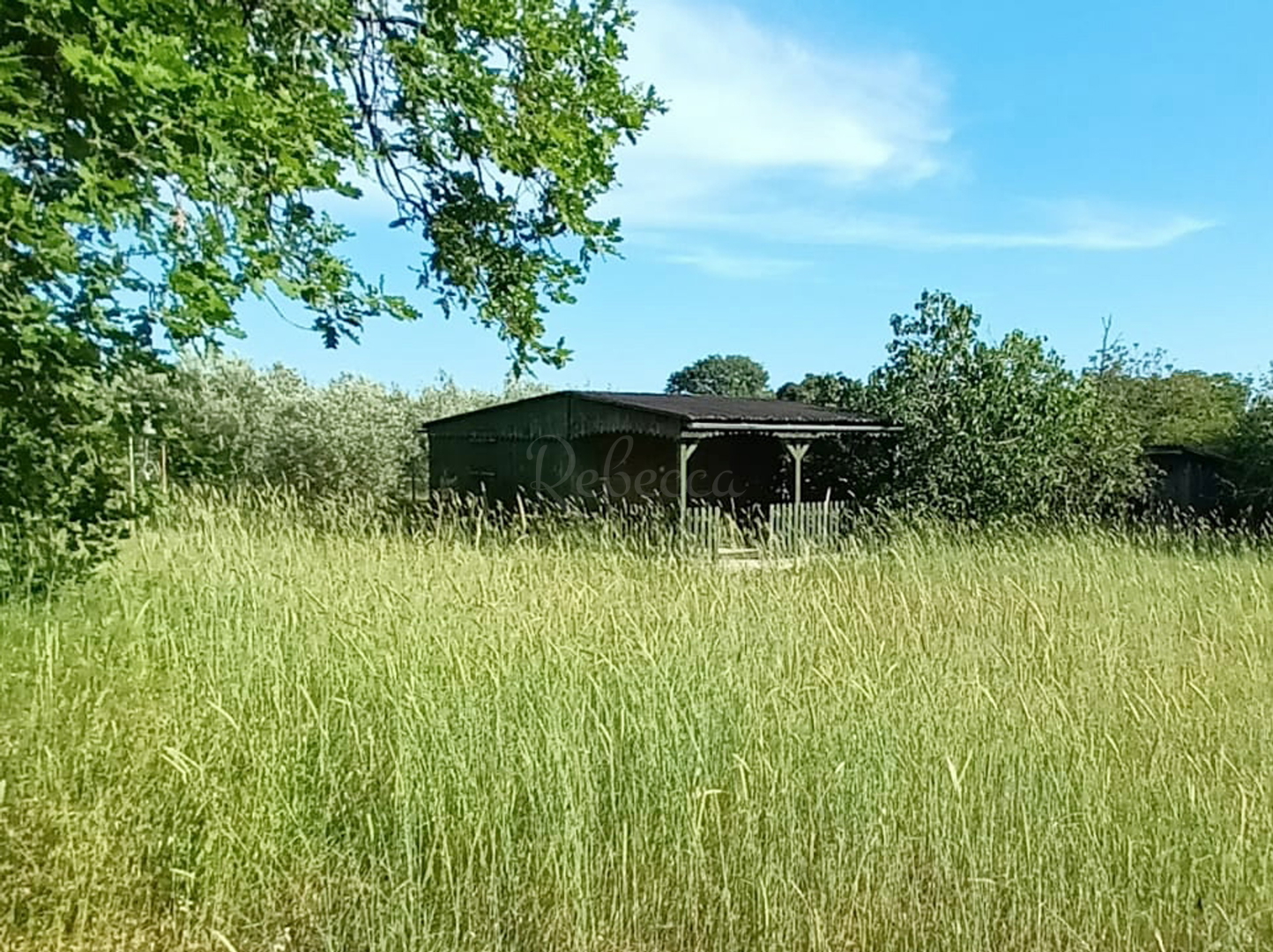 Casa In vendita - Peroj - foto 2/3