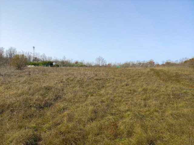 Land for sale 19000 m² – Poreč