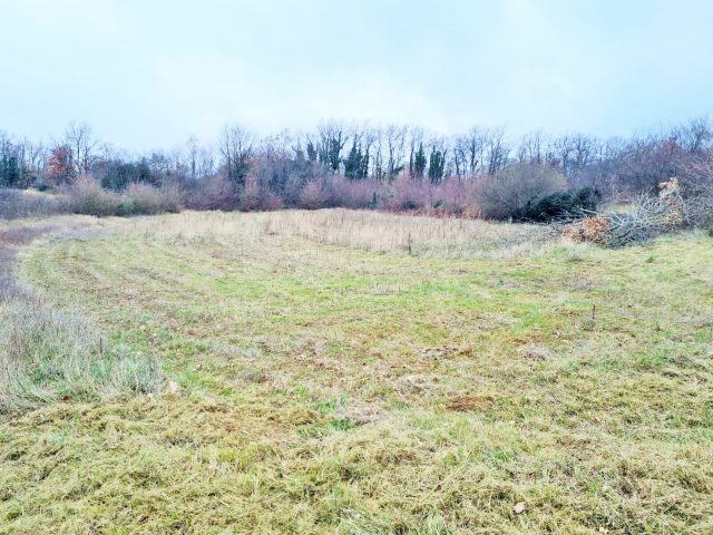 Pozemek na prodej 3780 m² – Svetvinčenat