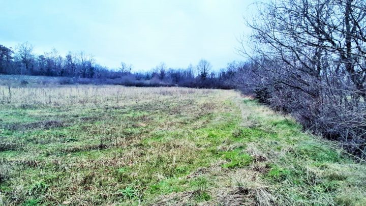 Terrain À vendre - Istarska Juršići - foto 2/5