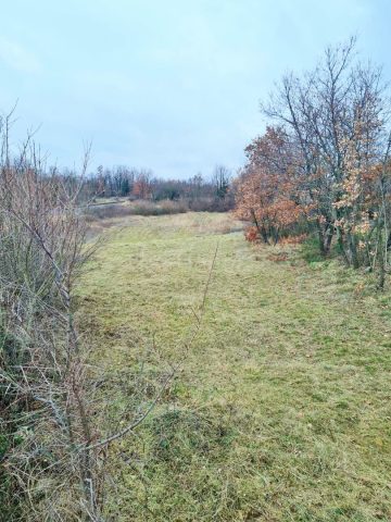 Terrain À vendre - Istarska Juršići - foto 3/5