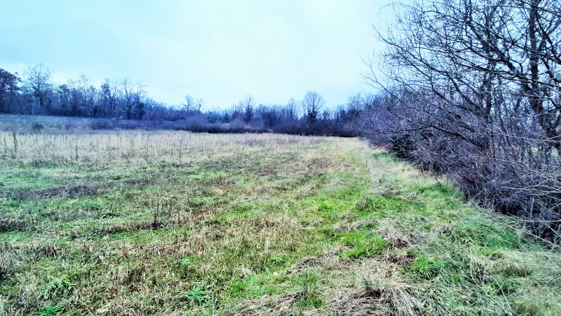 Land For sale - Istarska Juršići - foto 2/5