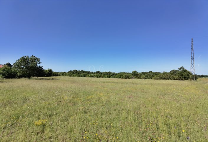 Parcela na predaj 5033 m² – Svetvinčenat