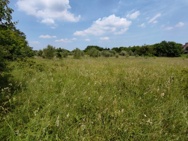 Zemljište na prodaju 2500 m² – Barban