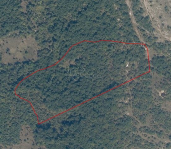 Pozemok na predaj 30354 m² – Bale