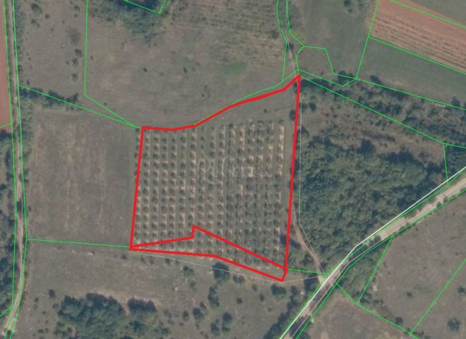 Pozemek na prodej 7623 m² – Krnica
