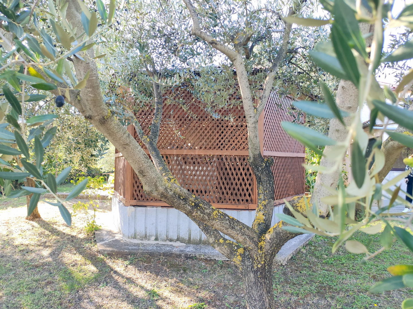 Casa In vendita - Istarska Medulin - foto 5/19