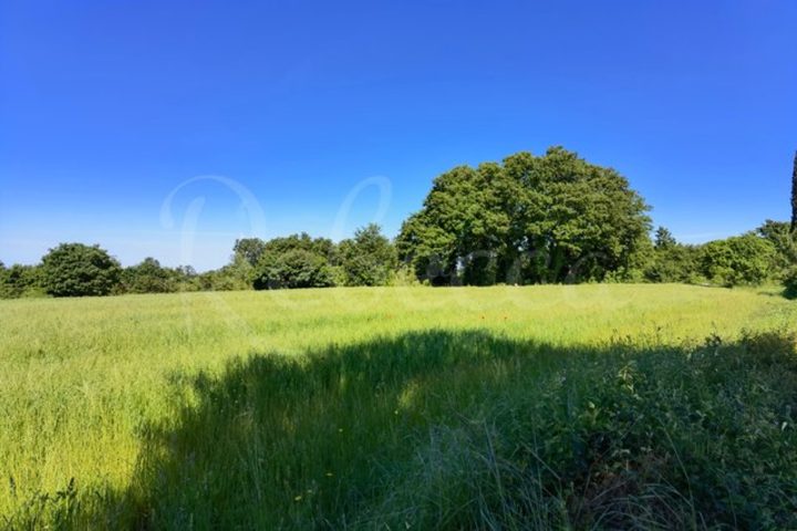 Terreno in vendita 1400 m² – Svetvinčenat