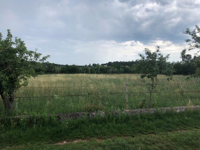 Parcela Naprodaj - Istarska štinjan - foto 2/2