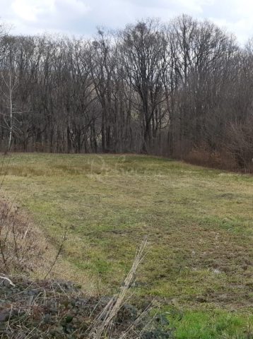 Land for sale 18730 m² – Vodnjan