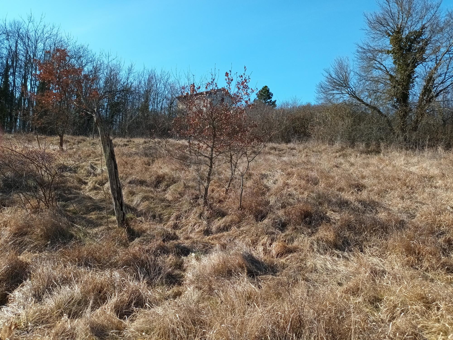 Działka Na sprzedaż - Istarska Karojba - foto 3/3