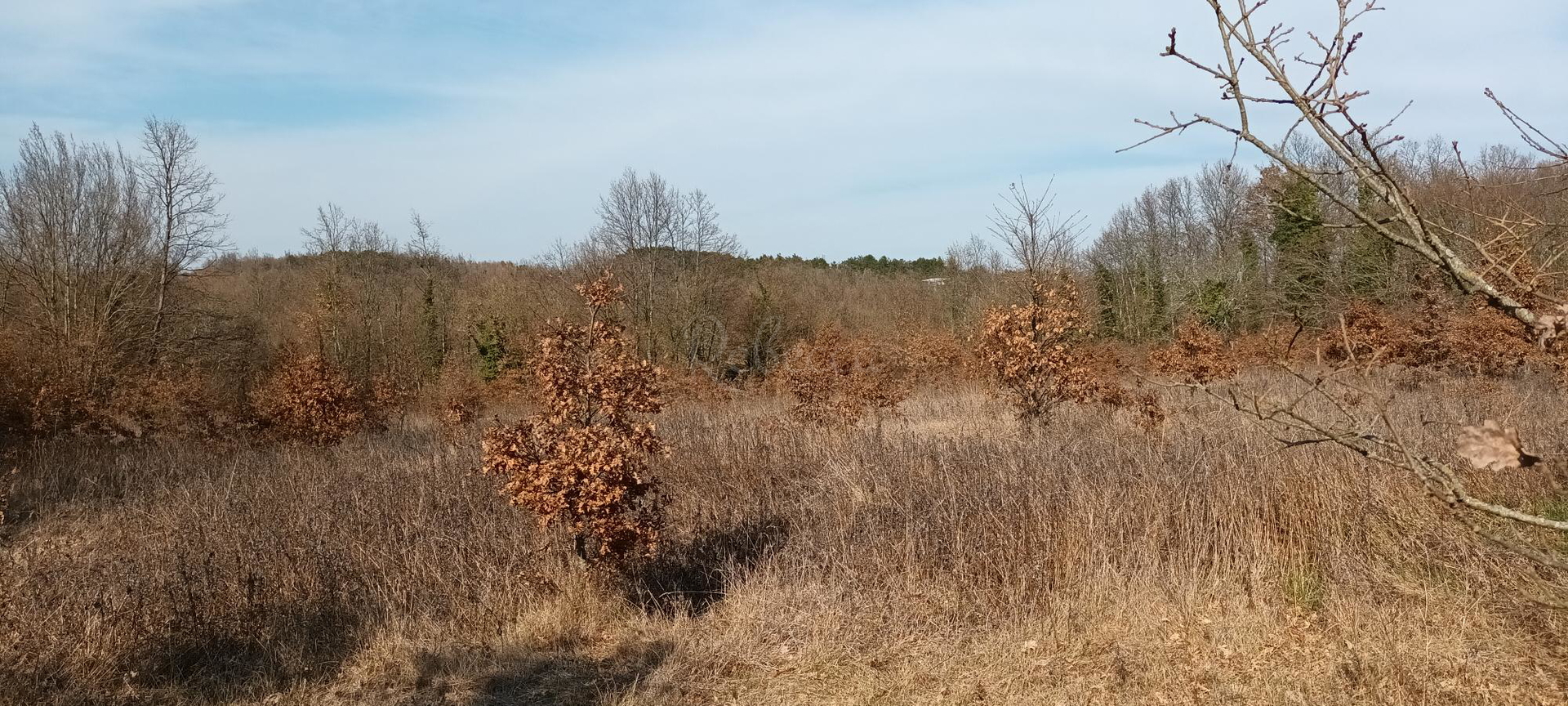 Terreno In vendita - Istarska Pazin - foto 3/5