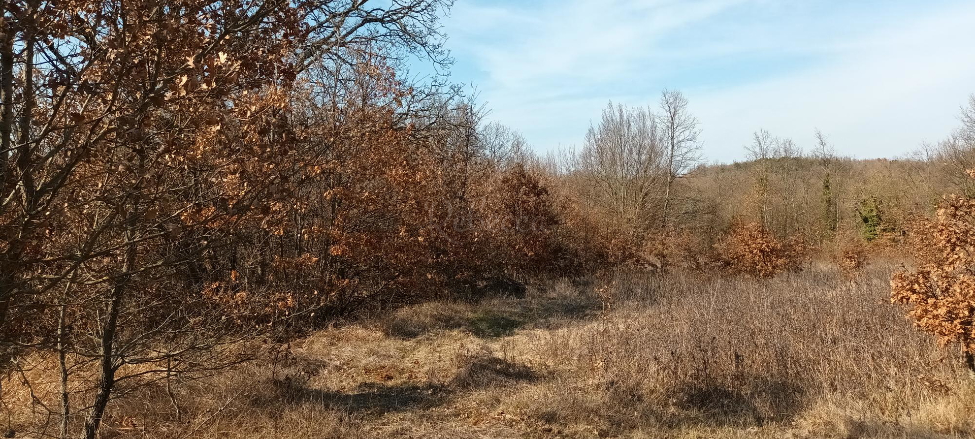Terreno In vendita - Istarska Pazin - foto 4/5