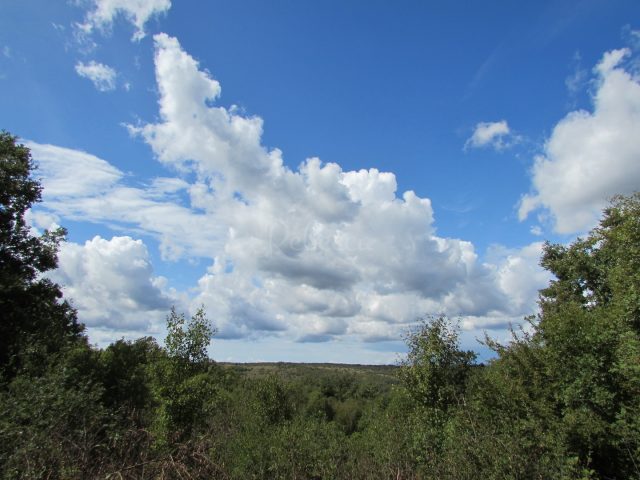Pozemek na prodej 11938 m² – Krnica