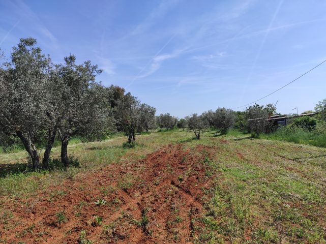 Parcela Naprodaj - Istarska Fažana - foto 4/9