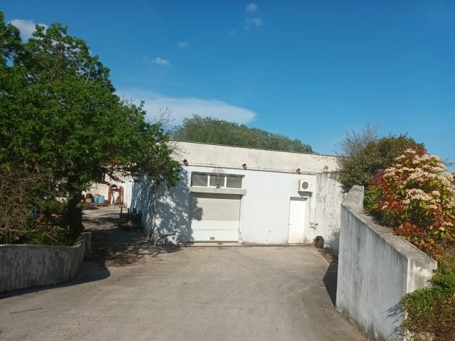 Commerciale in vendita 333 m² – Pazin