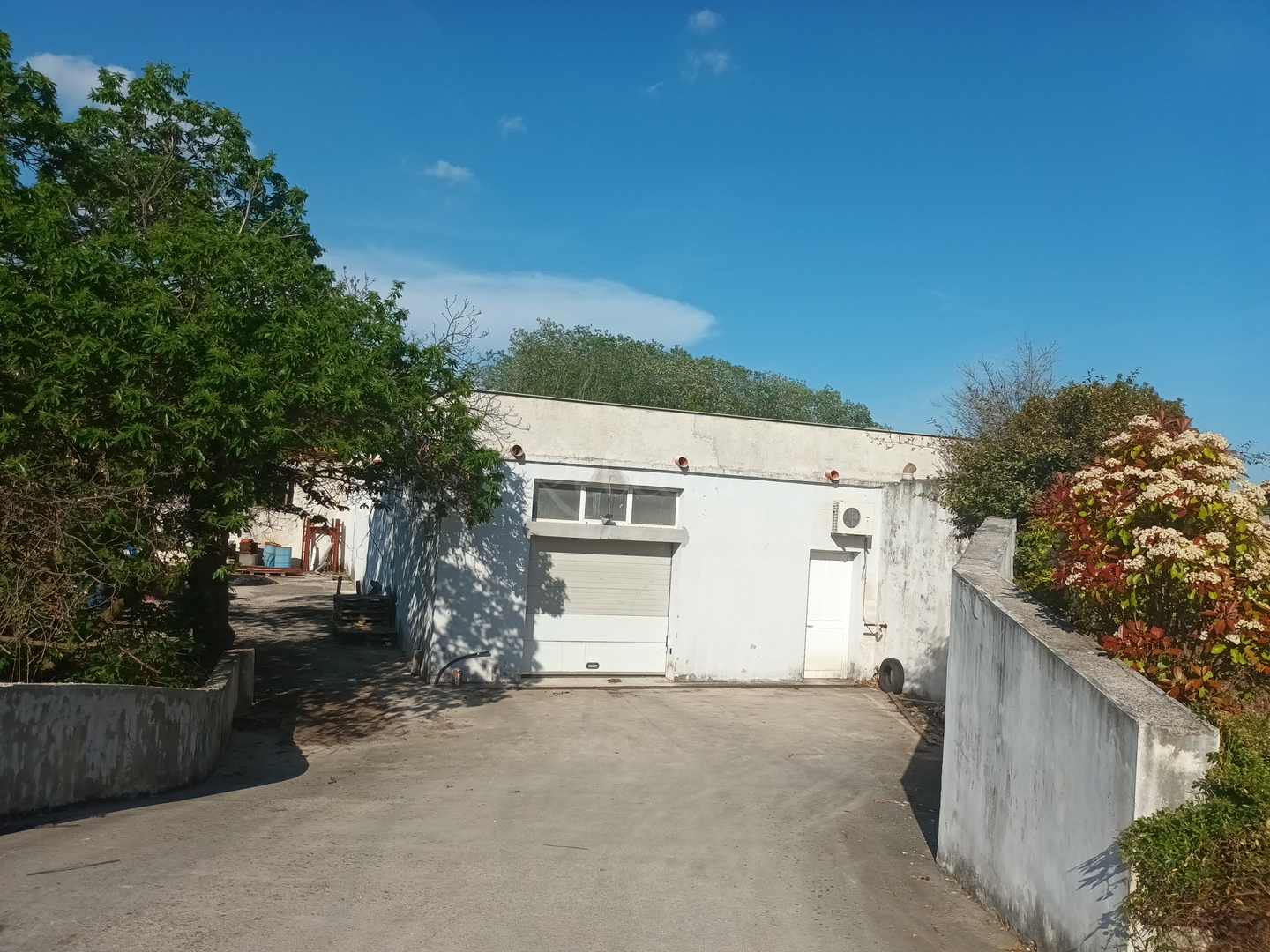 Locaux commerciaux À vendre Pazin