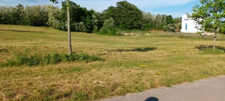Land for sale 37000 m² – Pazin
