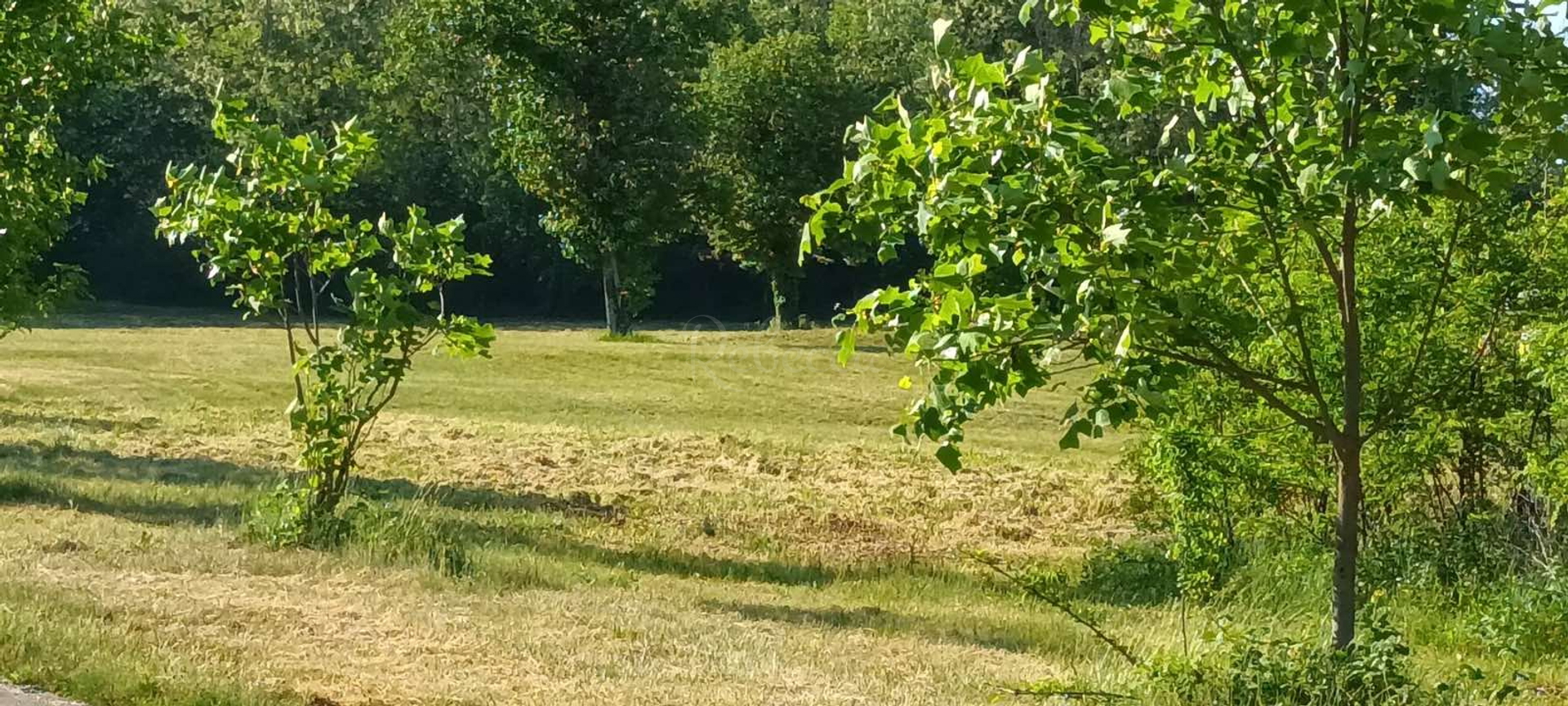 Parcela Na predaj -  Pazin