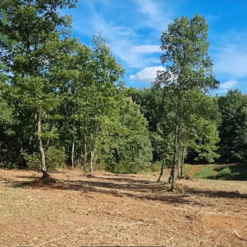 Terrain à vendre 3500 m² – Bazgalji