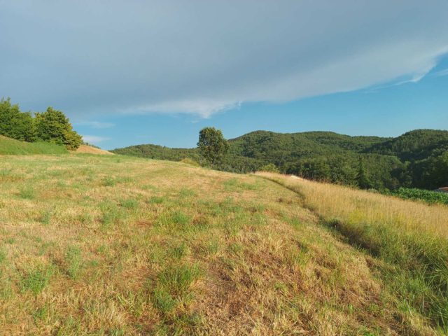 Land for sale 7289 m² – Pazin