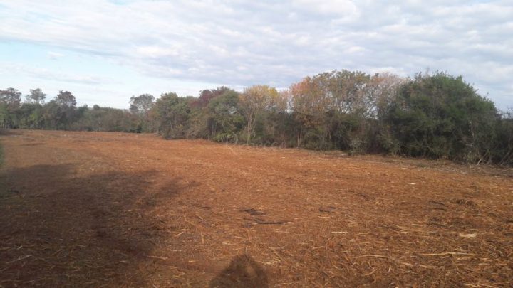 Terreno in vendita 2340 m² – Pula