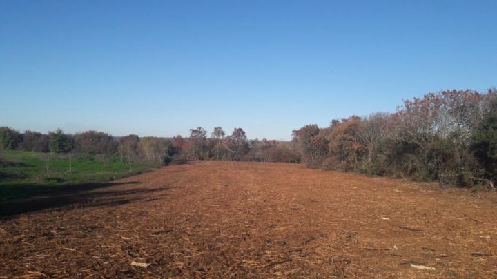 Parcela Naprodaj - Istarska štinjan - foto 2/3