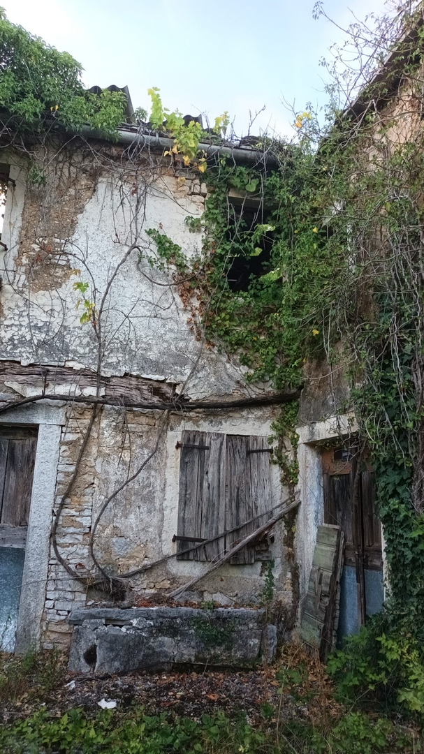 House For sale - Oprtalj - foto 4/5