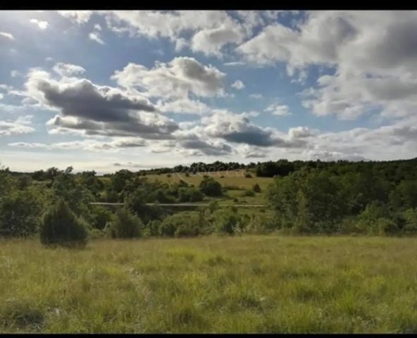 Pozemek na prodej 10000 m² – Oprtalj