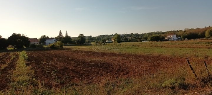 Pozemek Na prodej - Istarska Novaki Motovunski - foto 3/3