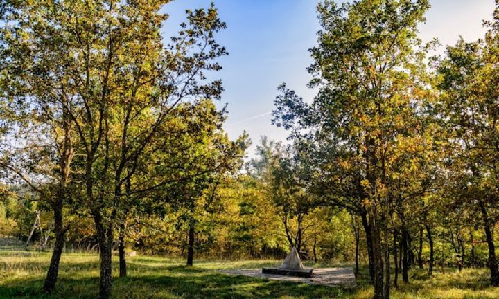 Land for sale 25595 m² – Pazin