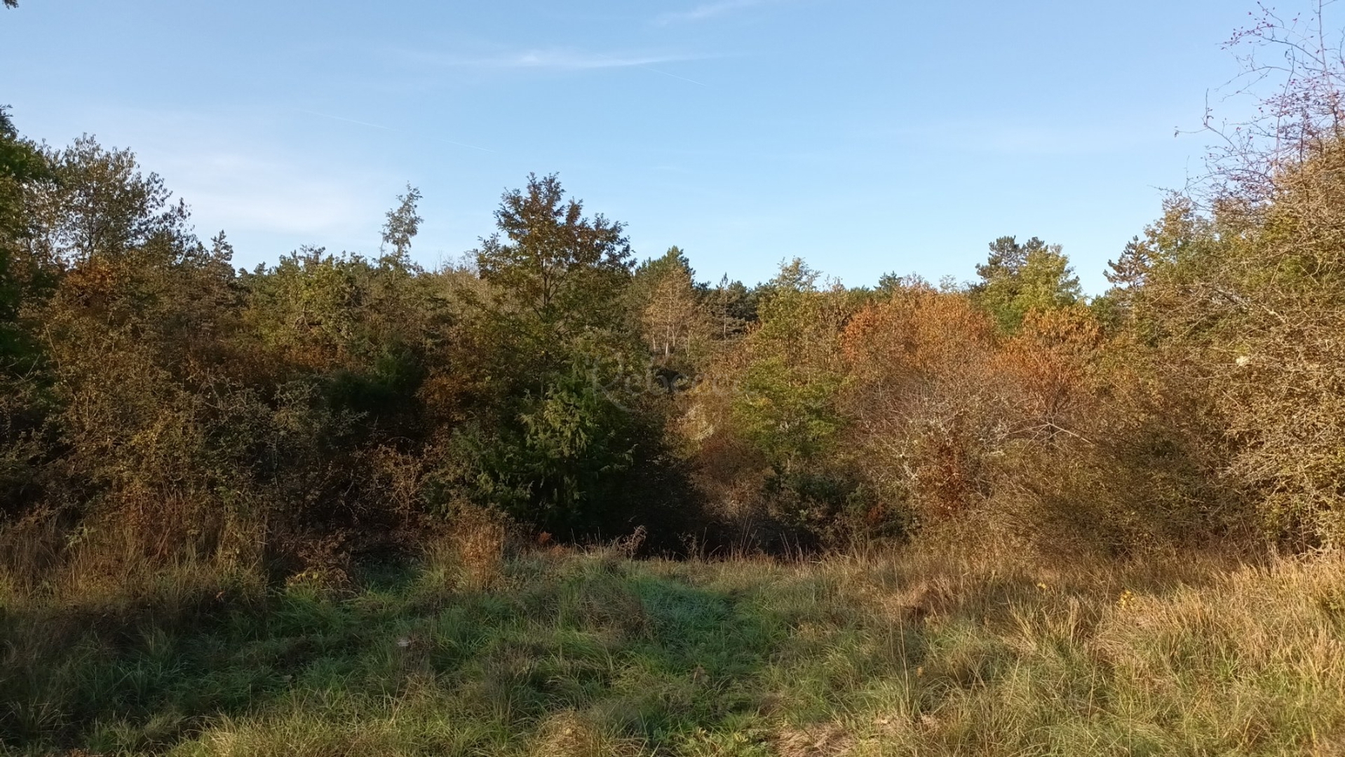 Grundstück Zu verkaufen - Istarska Pazin - foto 5/9
