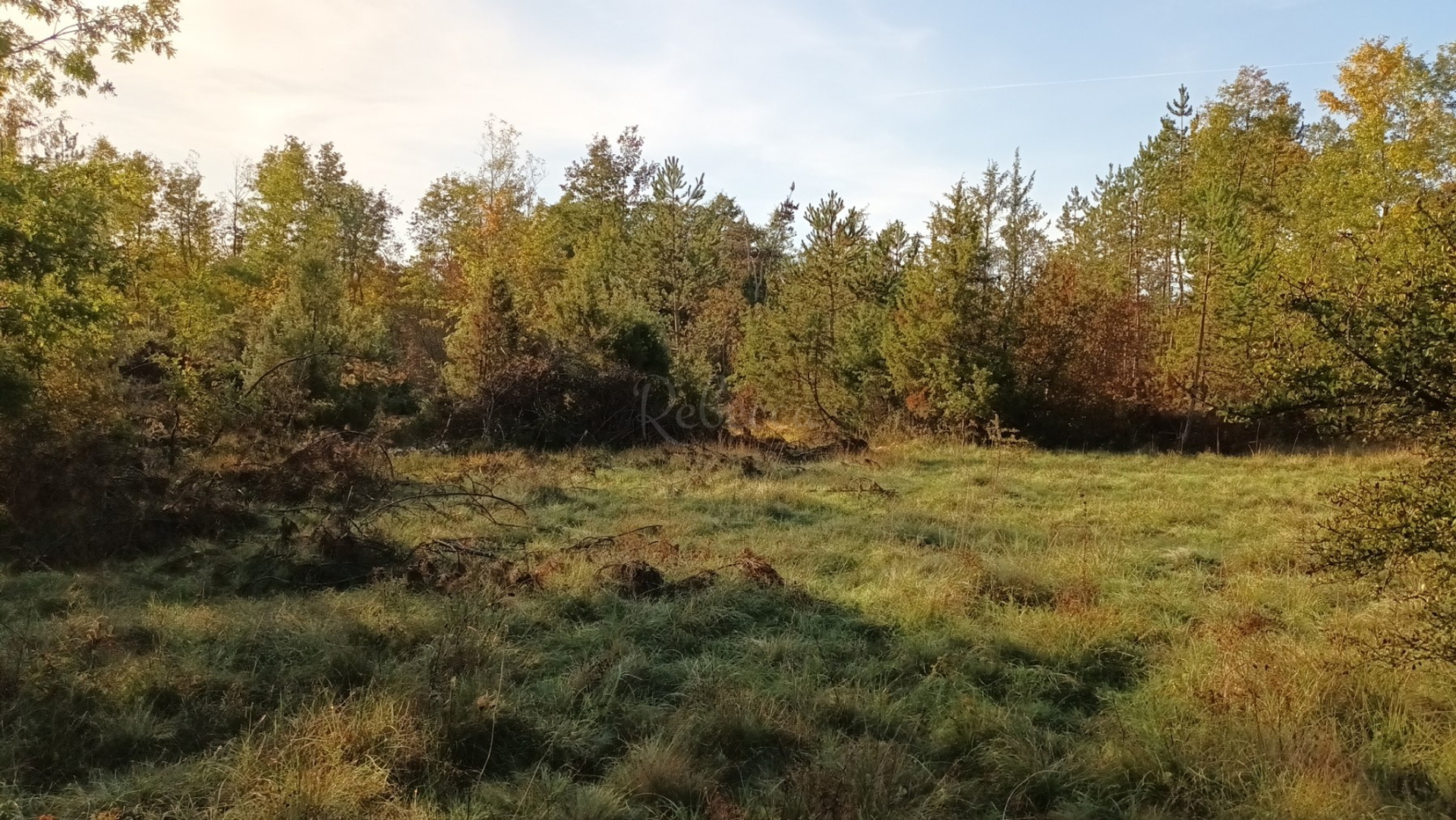 Grundstück Zu verkaufen - Istarska Pazin