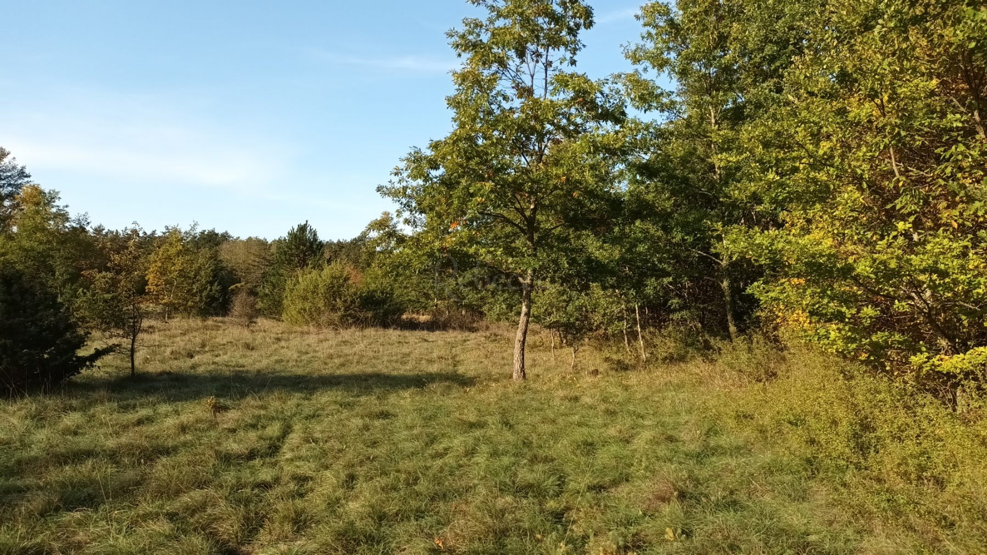 Grundstück Zu verkaufen - Istarska Pazin