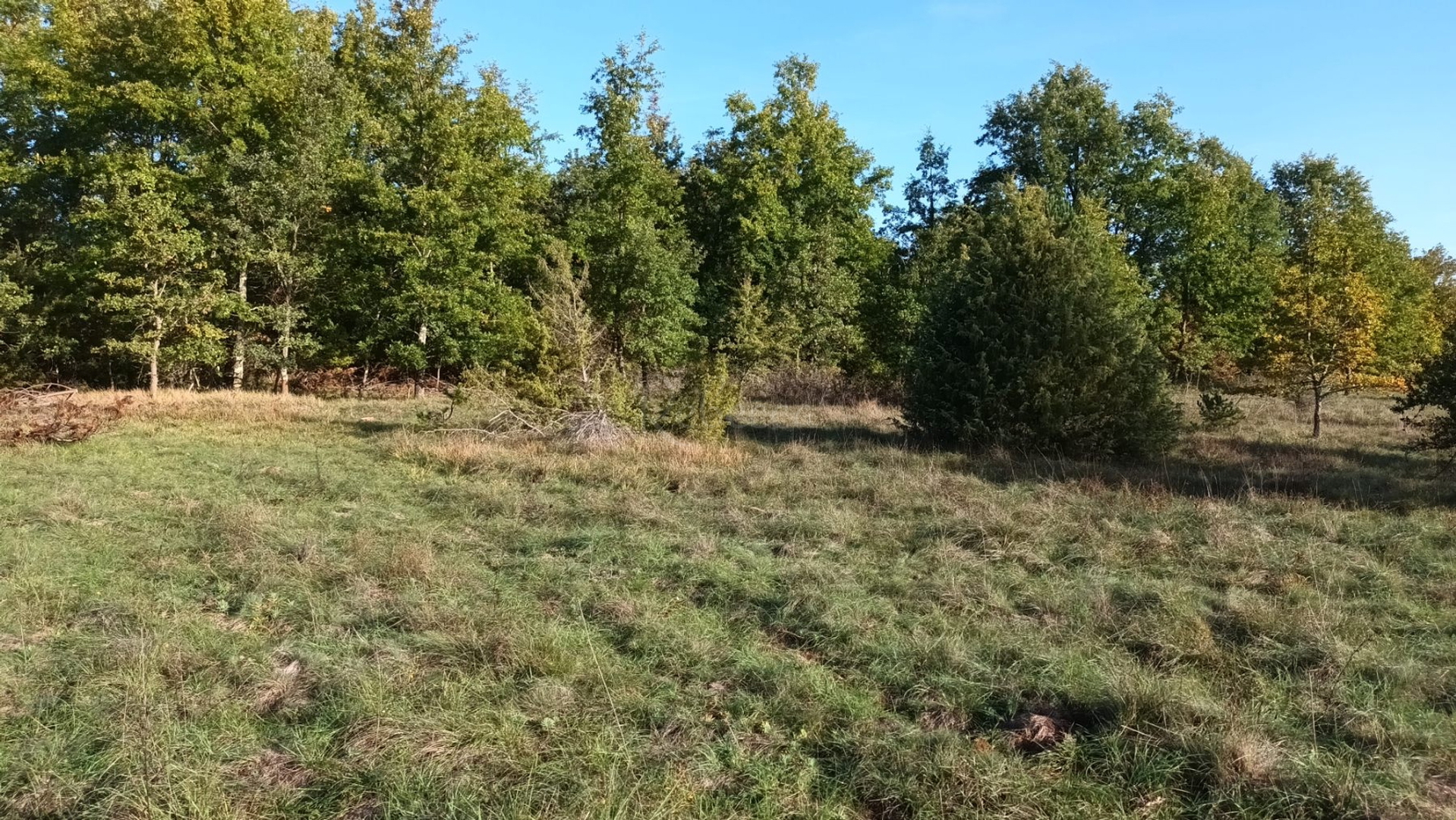 Grundstück Zu verkaufen - Istarska Pazin