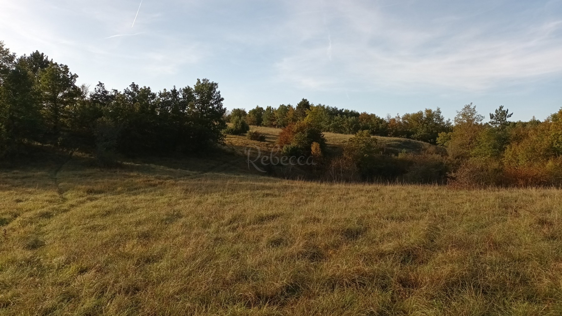 Parcela Naprodaj - Istarska Bazgalji